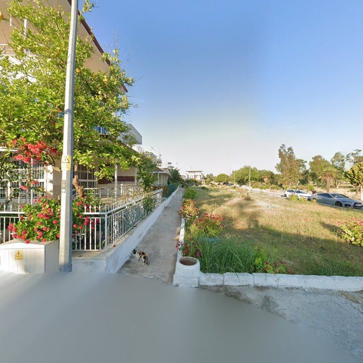 Fotoğraf 10