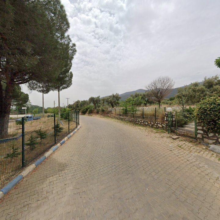 Fotoğraf 5