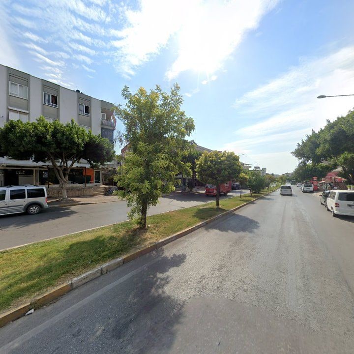Fotoğraf 8