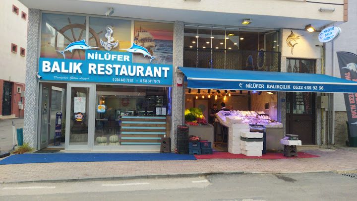 Nilüfer Balık Market