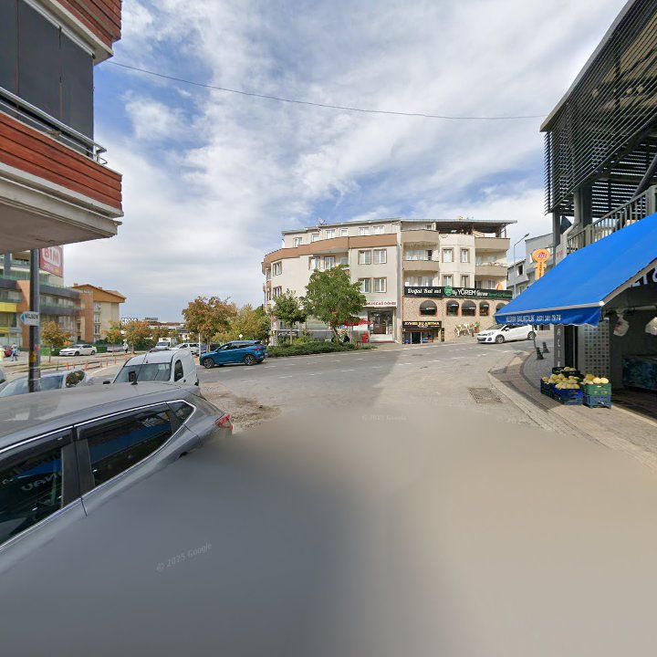 Fotoğraf 10