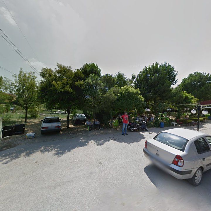 Fotoğraf 10
