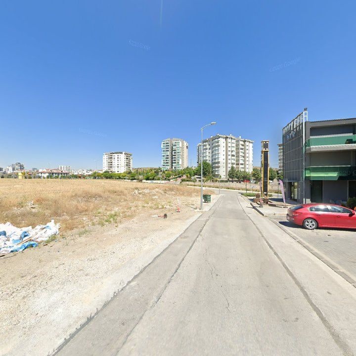 Fotoğraf 9