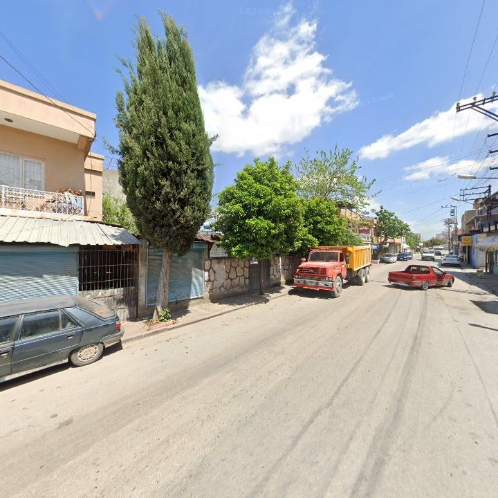 Fotoğraf 3