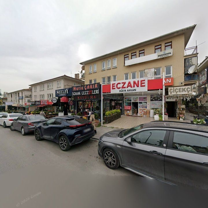 Fotoğraf 13