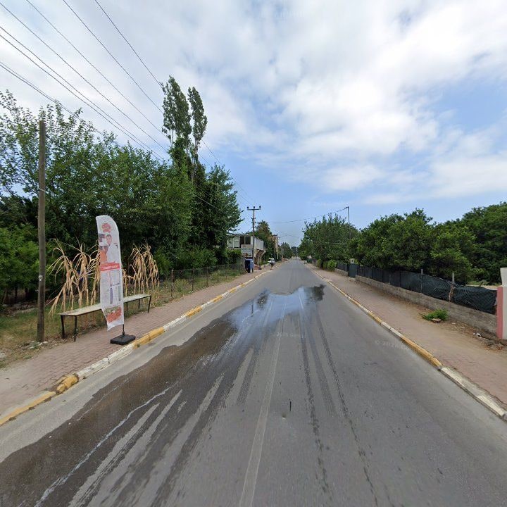 Fotoğraf 8