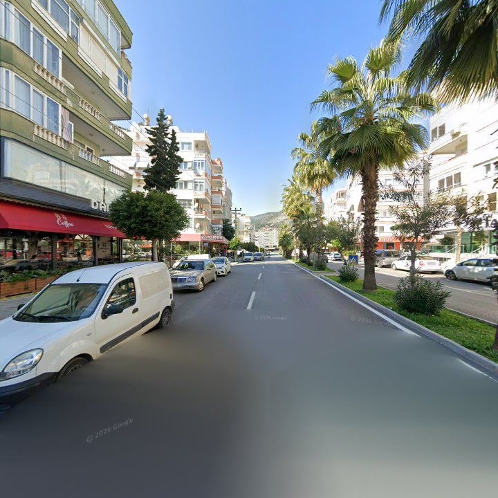 Fotoğraf 8