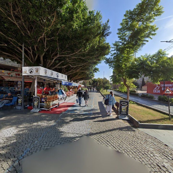 Fotoğraf 12