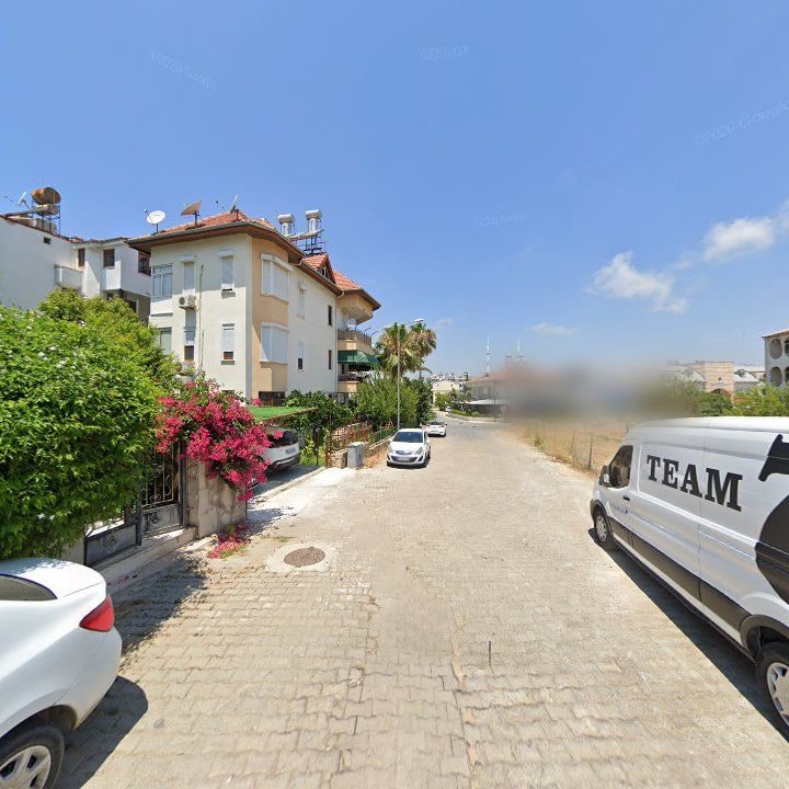 Fotoğraf 13
