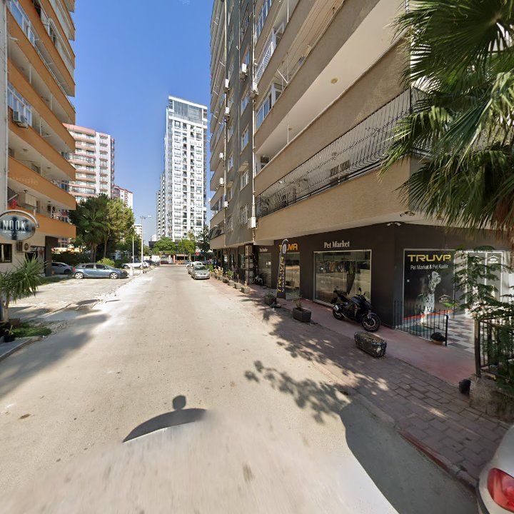 Fotoğraf 9
