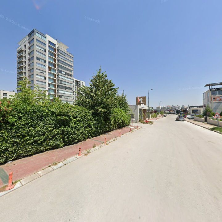 Fotoğraf 11