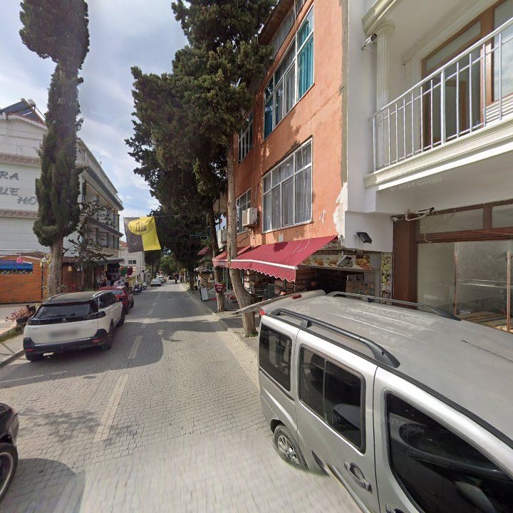 Fotoğraf 11