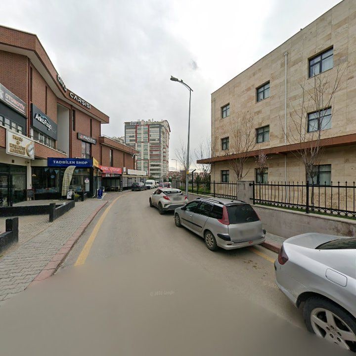 Fotoğraf 8