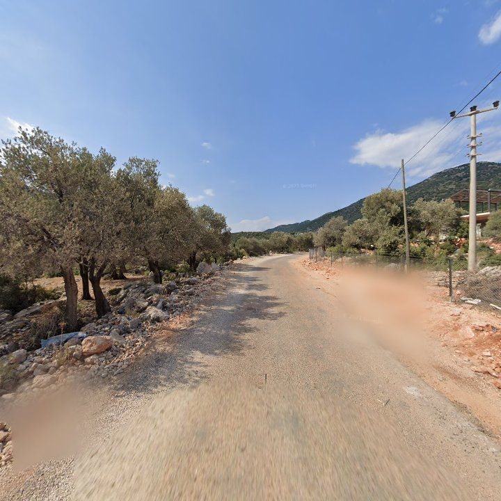 Fotoğraf 11