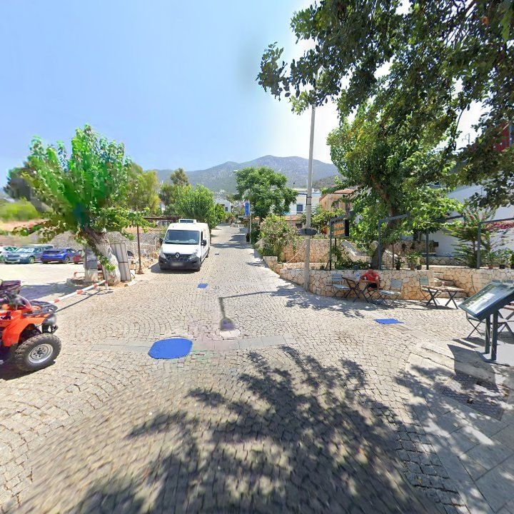 Fotoğraf 11