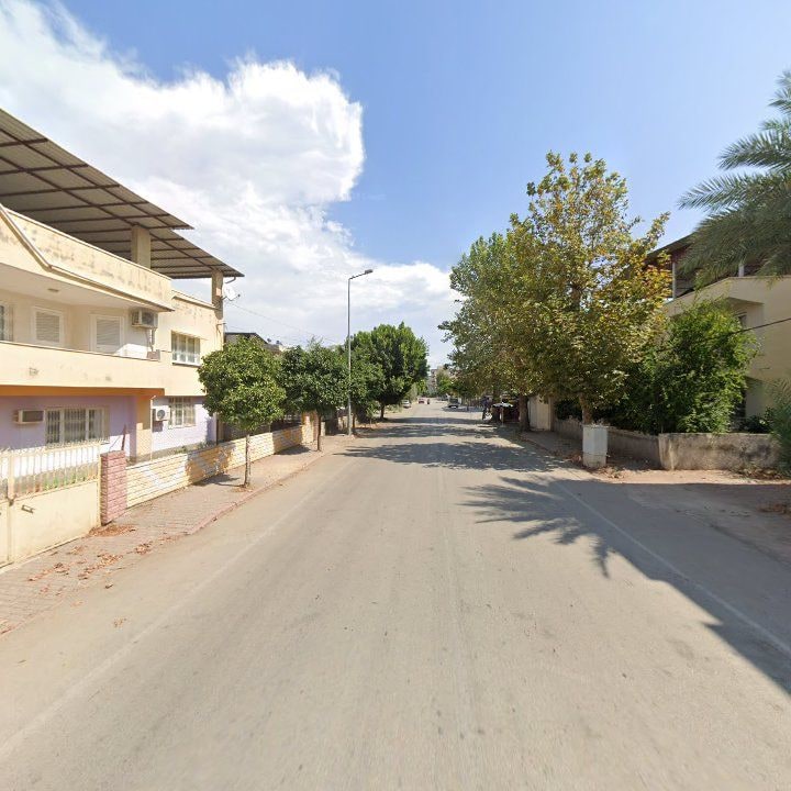Fotoğraf 7