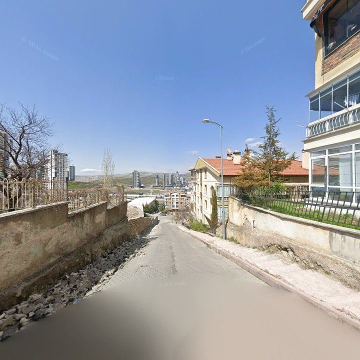 Fotoğraf 12