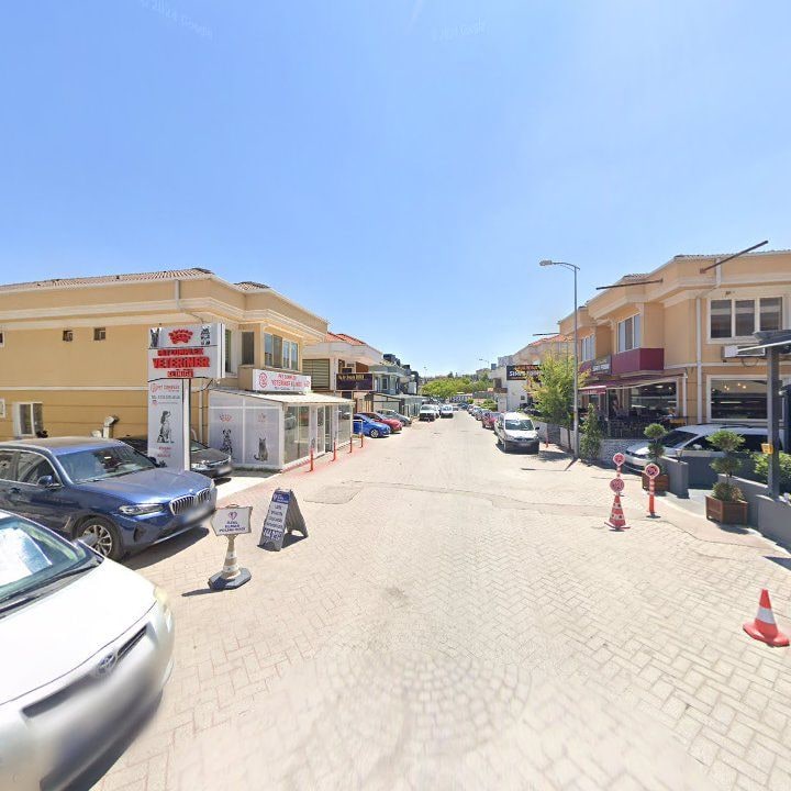 Fotoğraf 12