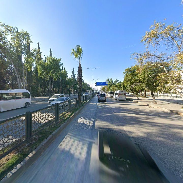 Fotoğraf 9