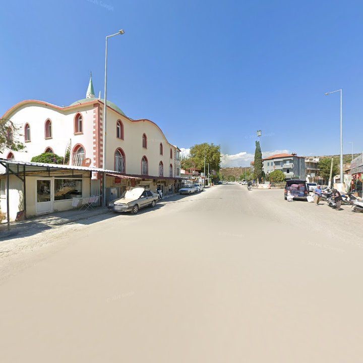 Fotoğraf 8