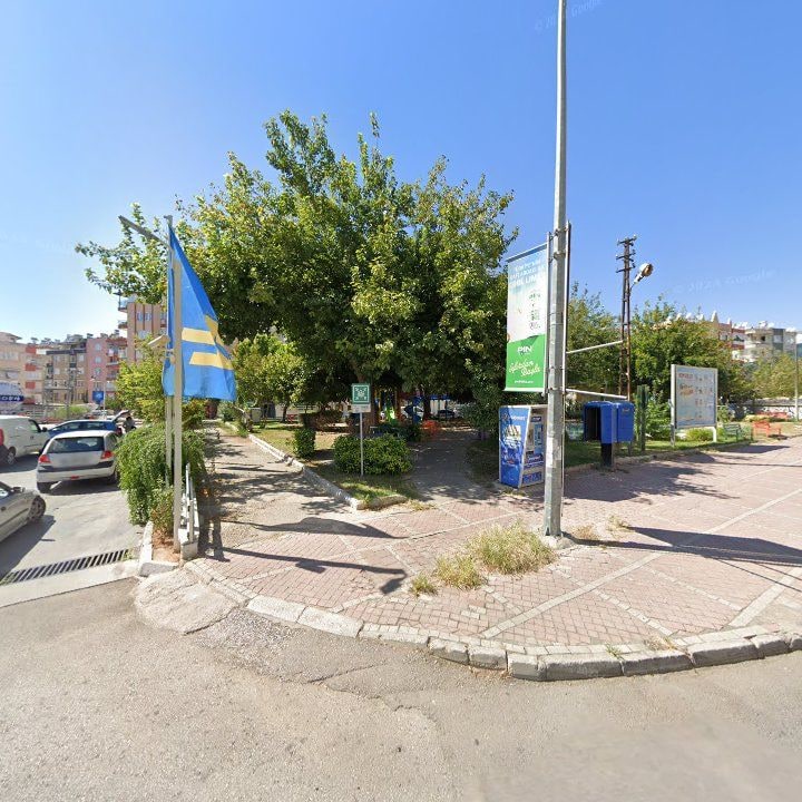 Fotoğraf 8