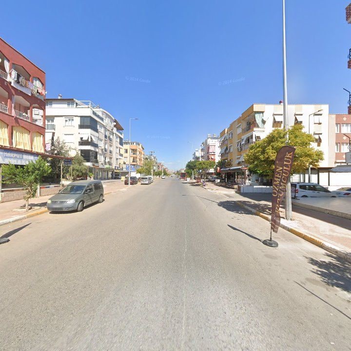 Fotoğraf 6