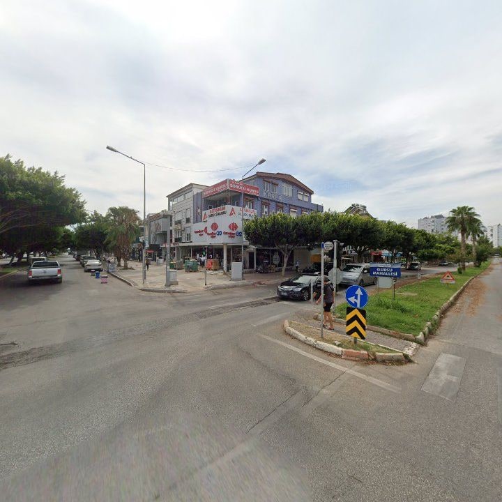Fotoğraf 11