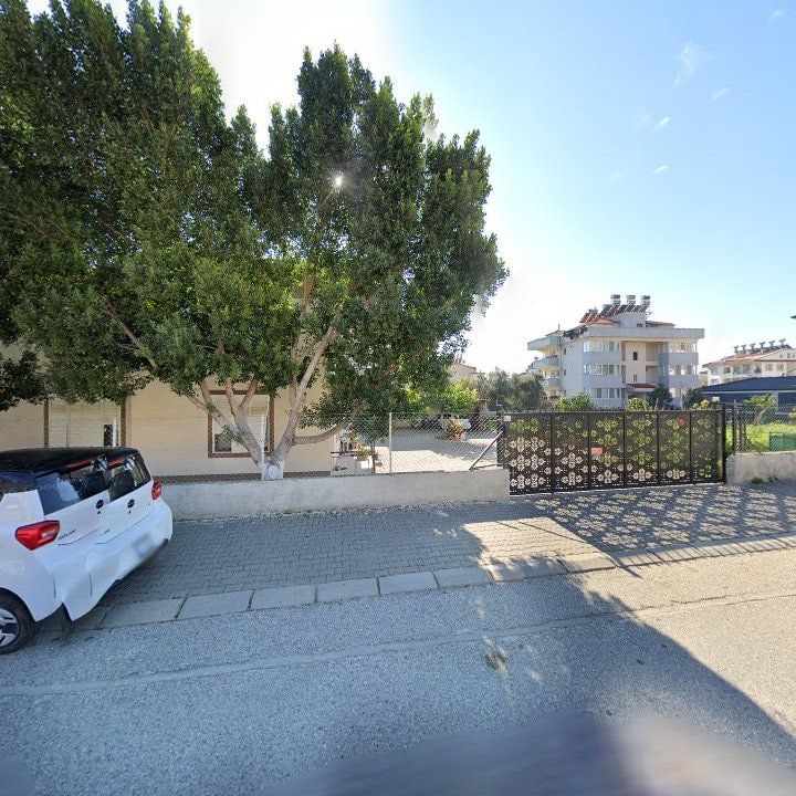 Fotoğraf 10