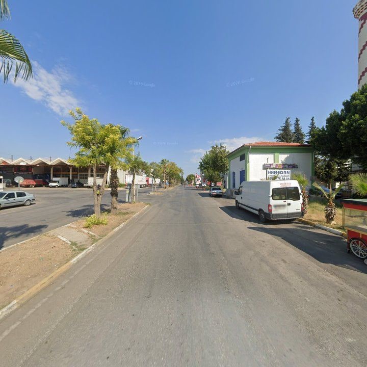 Fotoğraf 11