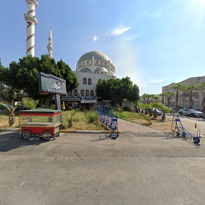 Fotoğraf 8