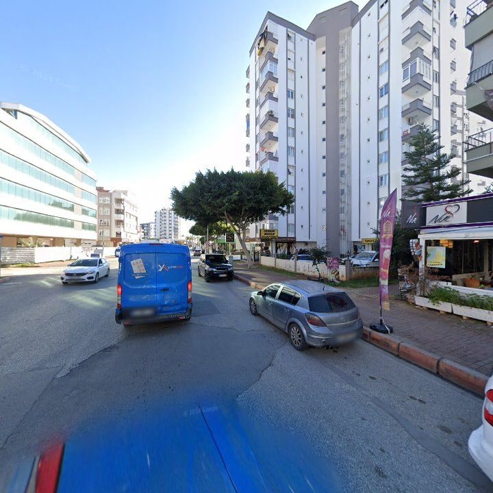 Fotoğraf 10