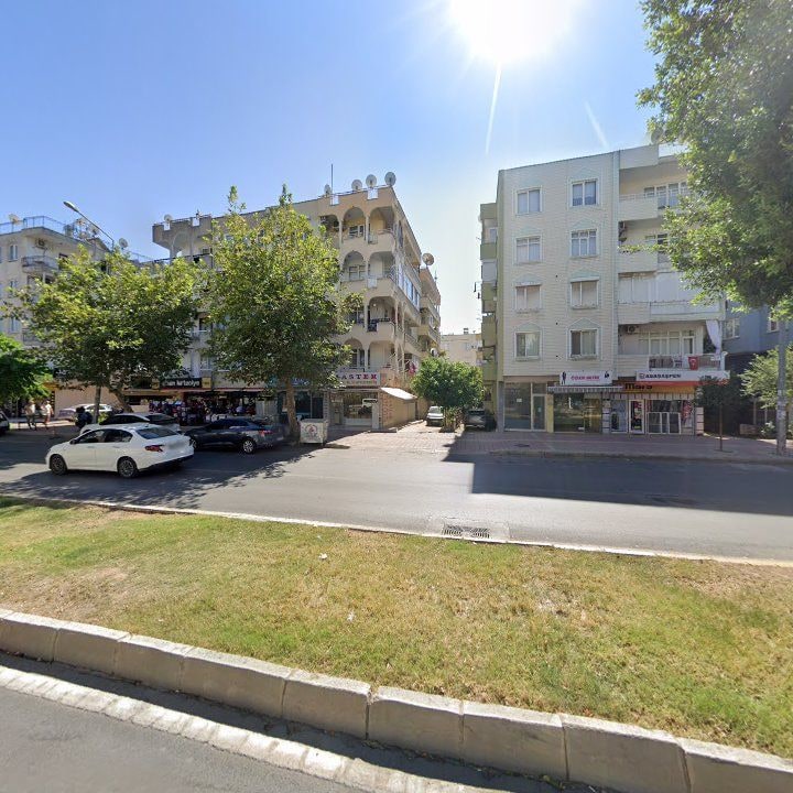 Fotoğraf 9