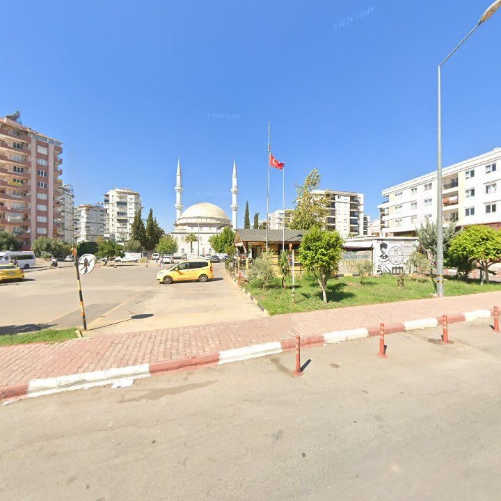 Fotoğraf 8