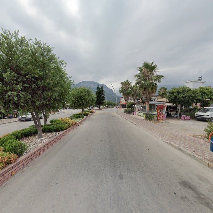 Fotoğraf 7