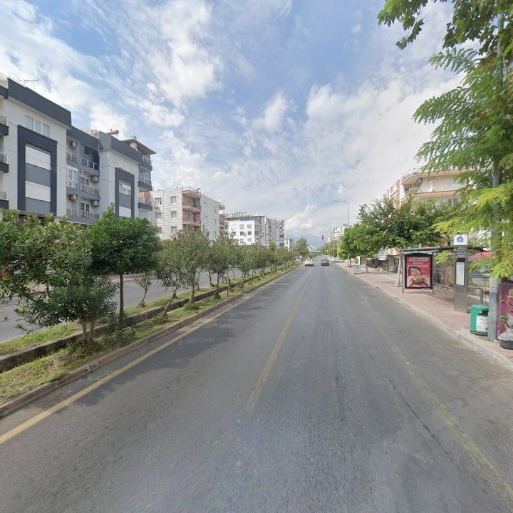 Fotoğraf 11