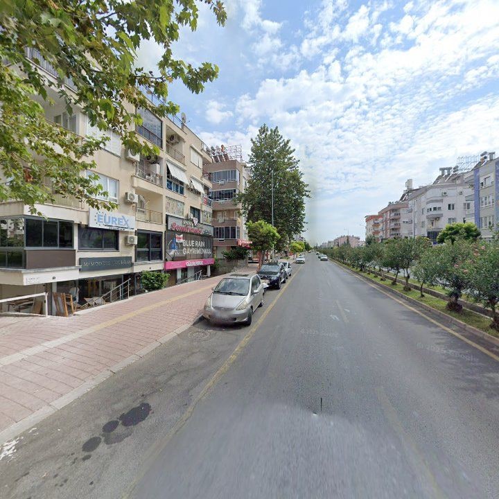 Fotoğraf 9