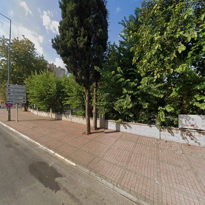 Fotoğraf 12