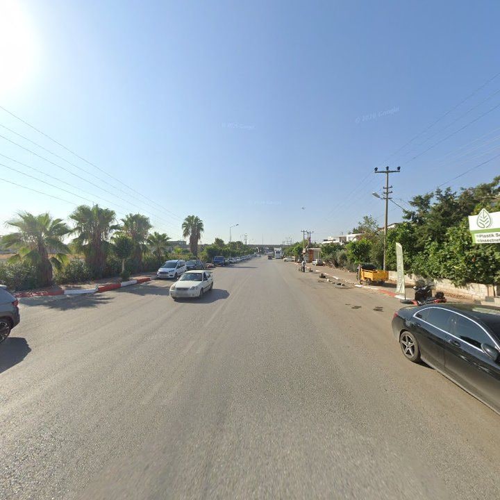 Fotoğraf 11