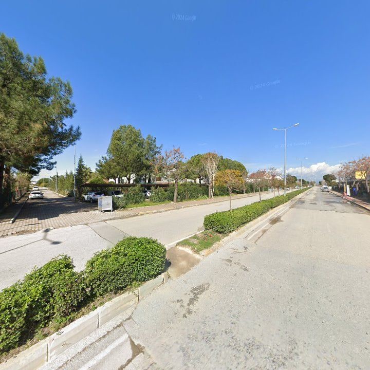 Fotoğraf 10
