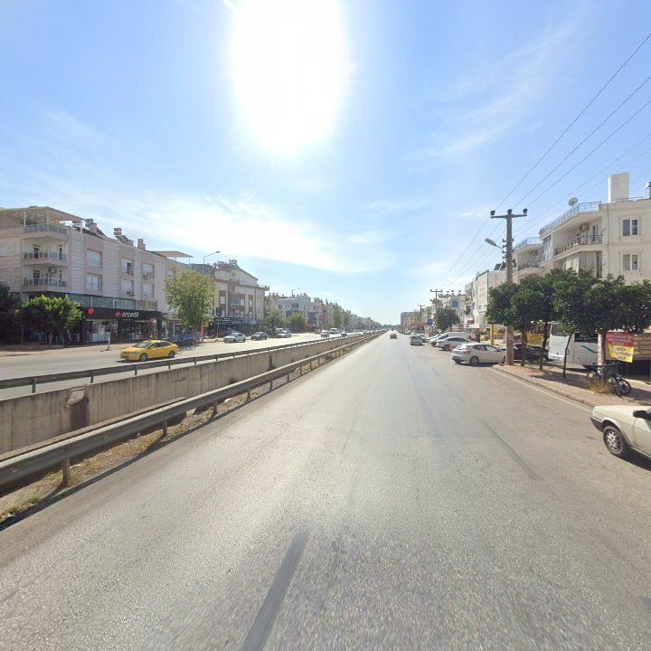 Fotoğraf 11
