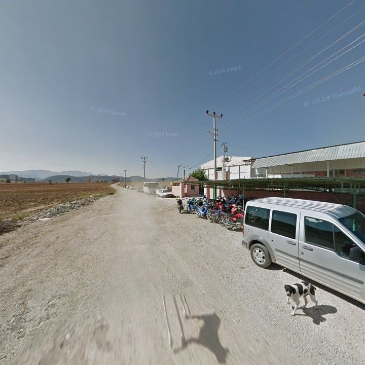 Fotoğraf 7