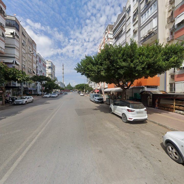 Fotoğraf 11
