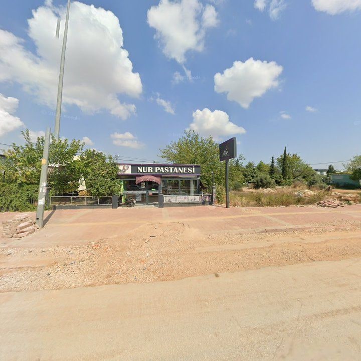 Fotoğraf 7
