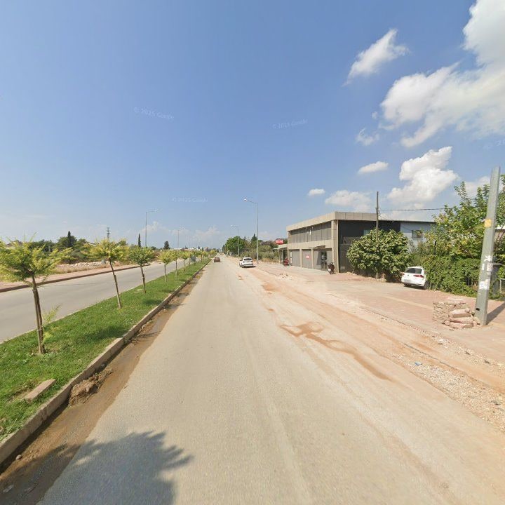 Fotoğraf 10