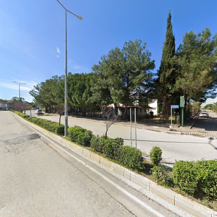 Fotoğraf 9
