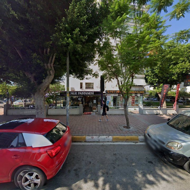 Fotoğraf 6