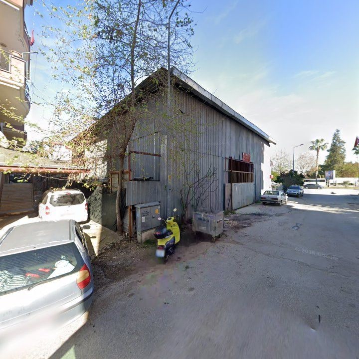 Fotoğraf 9