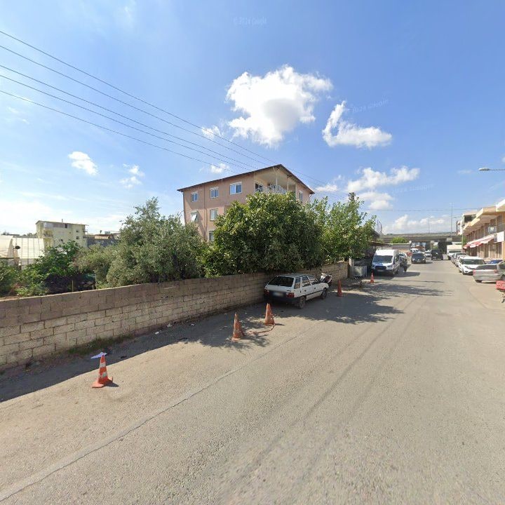 Fotoğraf 6