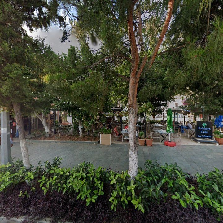 Fotoğraf 10