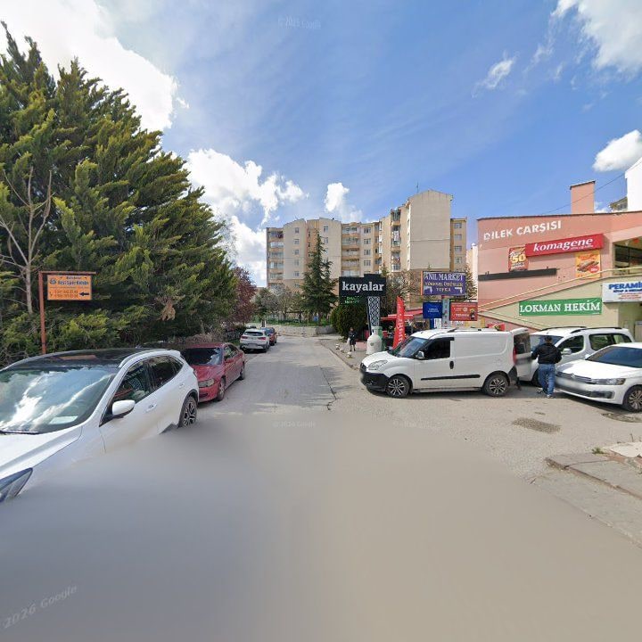 Fotoğraf 6
